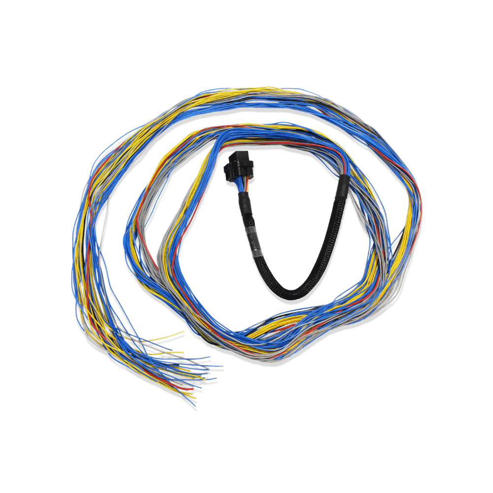 FuelTech FT600 Unleashed: Unterminated Harness for Ultimate Customization