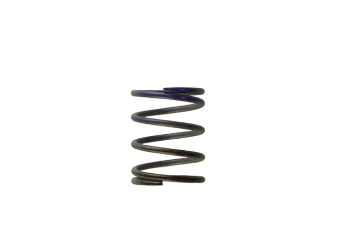 Gen 4/IWG WG38/40/45/50L 7PSI Middle Spring - Brown/Purple: The Ultimate Turbo Solution!